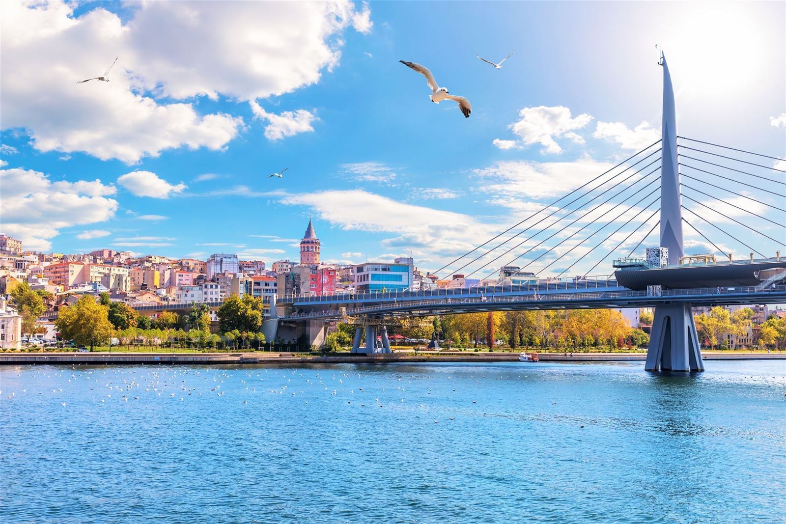Metro Bridge in Istanbul
